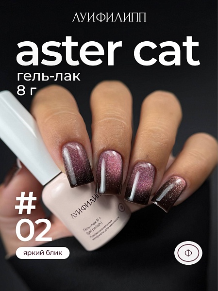 291571e1b8ce11f1aa8600155d061c04_2b2a8f14b8d411f1aa8600155d061c04 Гель-лак Aster cat 02 8g Луи Филипп — изображение 1