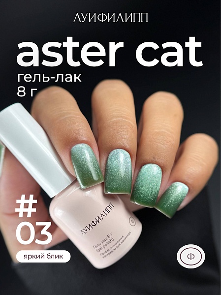4117eccbb8ce11f1aa8600155d061c04_6e9810deb8d411f1aa8600155d061c04 Гель-лак Aster cat 03 8g Луи Филипп — изображение 1