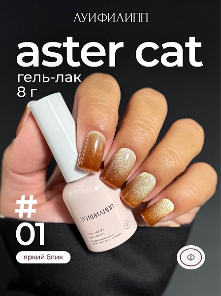 fa8c9620b8cd11f1aa8600155d061c04_a0b60574b8d311f1aa8600155d061c04 Гель-лак Aster cat 01 8g Луи Филипп — изображение 1